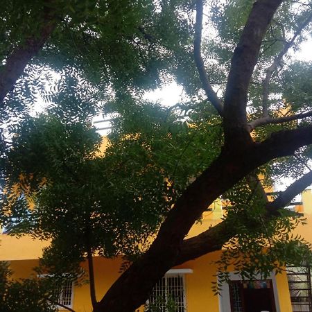 Thendral Hostel Monthly Rental Pondicherry Exterior photo