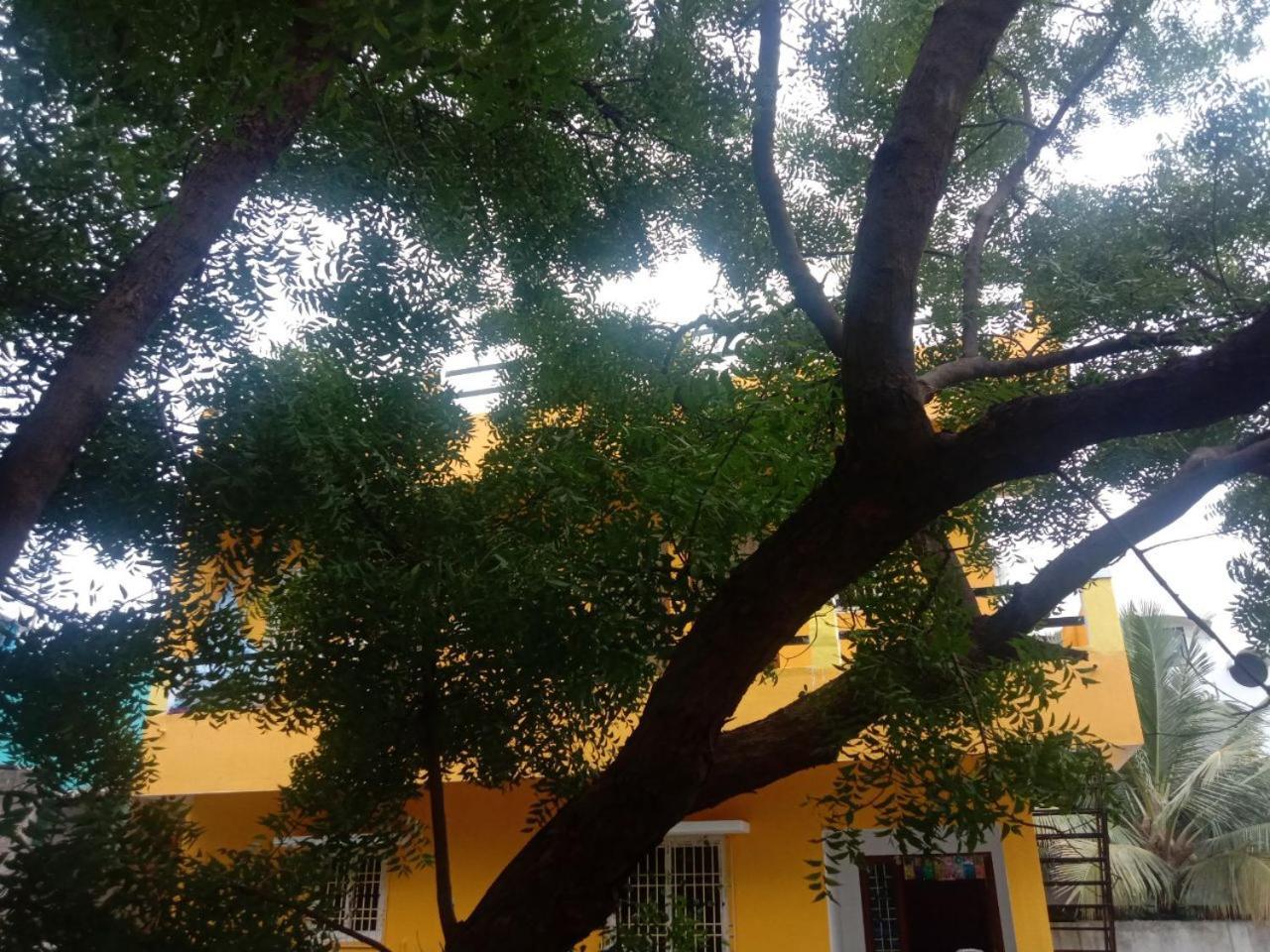 Thendral Hostel Monthly Rental Pondicherry Exterior photo